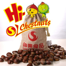 New crop Organic fresh Chestnuts ---Raw fresh Chestnut selling